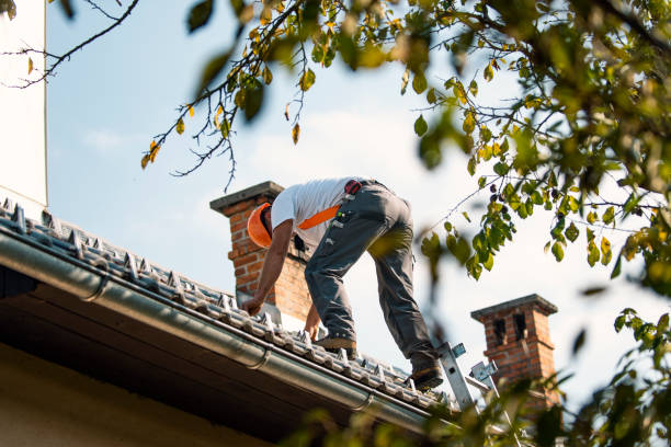 Fast & Reliable Emergency Roof Repairs in Delavan, IL