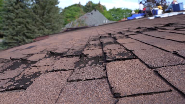 4 Ply Roofing in Delavan, IL