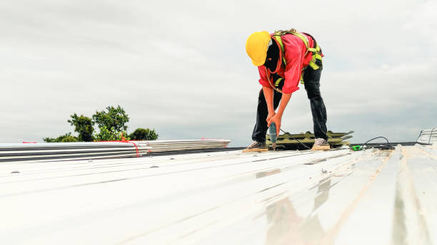 Best Cold Roofs  in Delavan, IL
